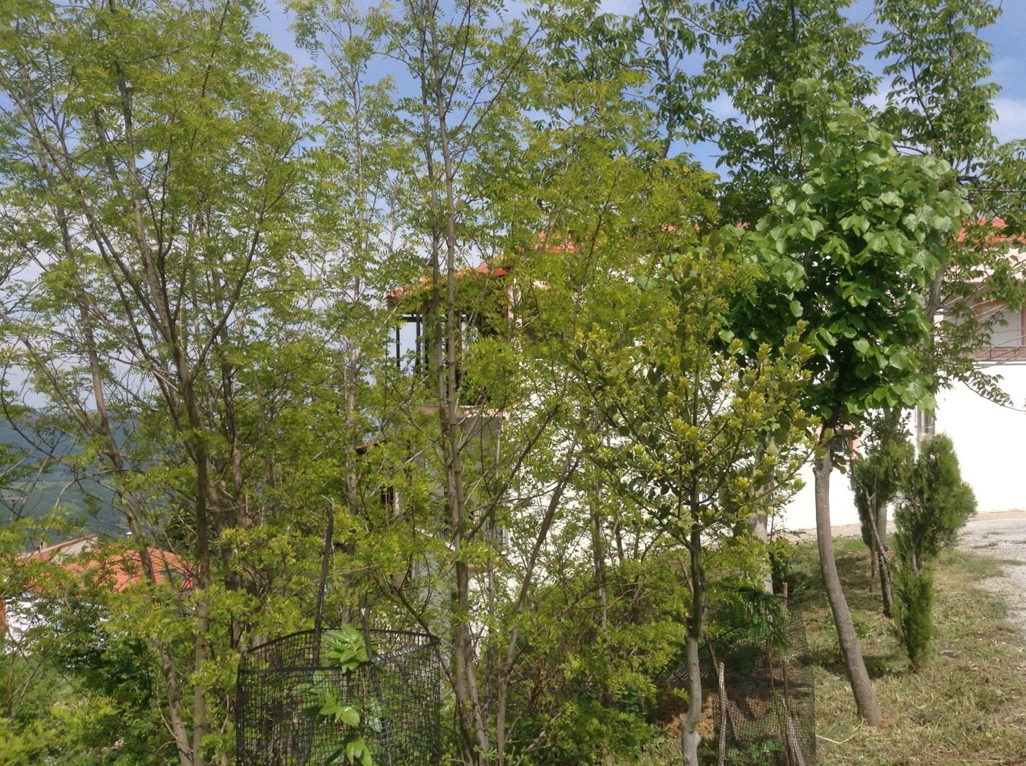 Отель Πανδοχείο Λίμνης Πλαστήρα Kastania  Экстерьер фото